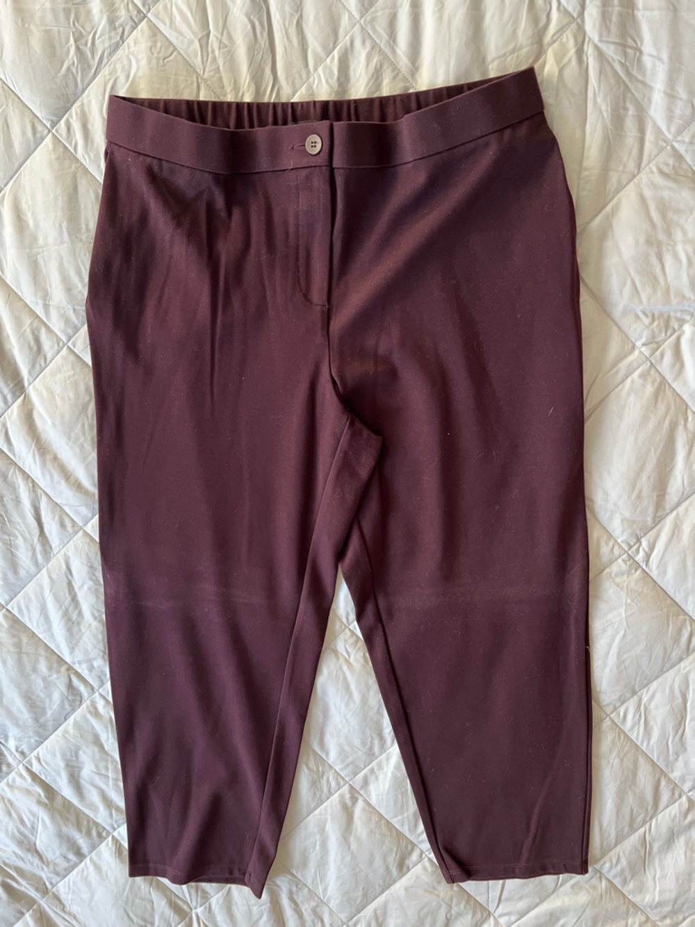 Eileen Fisher Women’s Stretch Lycocell Blend Cropped Pants in Deep Wine